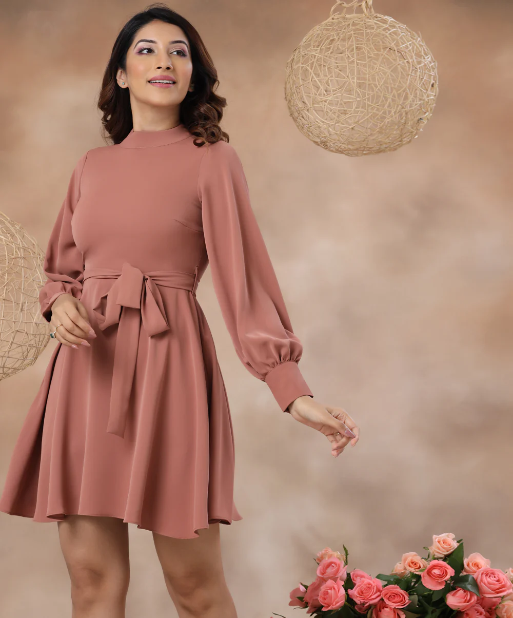 High Neck Belted Skater Brown Dress